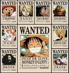 Which Straw Hat Pirate is you favorite? Which Straw Hat Pirate is you favorite?