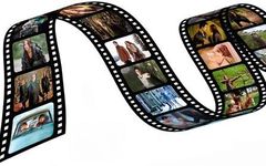 Which Type of Movie Do You Enjoy the Most? Which Type of Movie Do You Enjoy the Most?