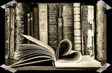 What kind of story would you like to see more of? What kind of story would you like to see more of?