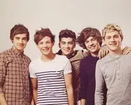 Which One Direction Guy Will You Marry?