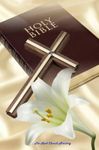 Bible Bible