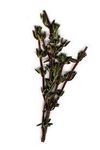 Warriors herb quiz! Warriors herb quiz!