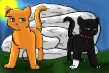 Warrior cats name (Prefix) Warrior cats name (Prefix)