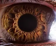 What kind of eyes do you have? What kind of eyes do you have?
