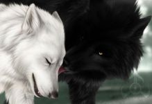 Which type of wolf are you? Which type of wolf are you?