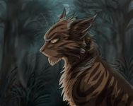 Guess that Warrior Cat! Guess that Warrior Cat!
