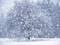What is your season? What is your season?