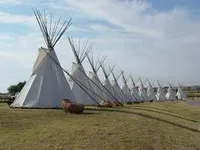 What is your tribe?