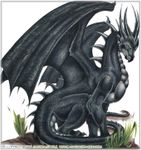 A dragon Quiz A dragon Quiz
