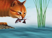 How well do you know Leopardstar? How well do you know Leopardstar?