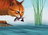 How well do you know Leopardstar? How well do you know Leopardstar?