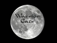 do u know your warriors?