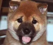 Test 1 on Part 1 Test 1 on Part 1