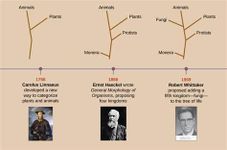 Test Your Knowledge on Evolution Test Your Knowledge on Evolution