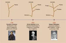 Test Your Knowledge on Evolution Test Your Knowledge on Evolution
