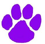 What animal are you? (62) What animal are you? (62)