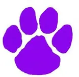 What animal are you? (62) What animal are you? (62)