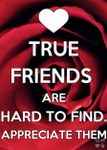 Which one of my friends are you? Which one of my friends are you?