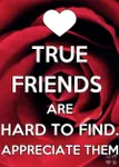 Which one of my friends are you? Which one of my friends are you?