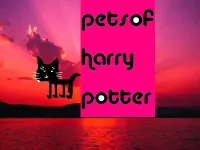 what harry potter animal will you bring to hogwarts? what harry potter animal will you bring to hogwarts?