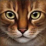 What is you're Warrior name, mate kits and pelt color. What is you're Warrior name, mate kits and pelt color.