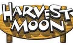 Which Harvest Moon Character Are You? Which Harvest Moon Character Are You?