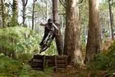 What type of mountain biker are you? What type of mountain biker are you?