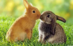 Which imaginary animal are you most like ._. Which imaginary animal are you most like ._.