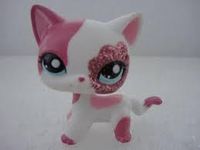 Which Of My LPS Cats Are You? Which Of My LPS Cats Are You?