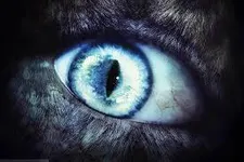What Mythological Creature are You? What Mythological Creature are You?