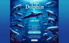 What Dolphin Are You?