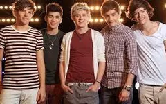 Which boy is perfect for you in 1D? Which boy is perfect for you in 1D?
