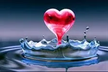 What social role do you have in your school What social role do you have in your school