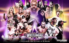 What is your WWE life