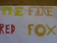 TheFireRedFox 101 TheFireRedFox 101