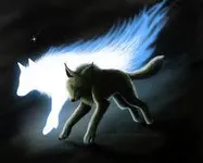 what catagory are you in worrior cats? what catagory are you in worrior cats?