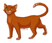 Which of My Warrior Cats Are YOU? Which of My Warrior Cats Are YOU?