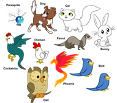 wich animal are you wich animal are you