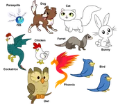 wich animal are you wich animal are you