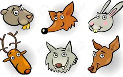 Animal Personality Quiz-wildthing Animal Personality Quiz-wildthing