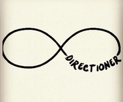 Directioner or Directionater Directioner or Directionater