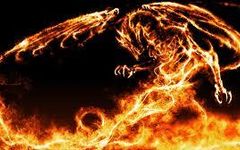 What's your dragon type? What's your dragon type?
