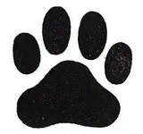 What animal are you? (15) What animal are you? (15)
