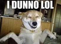 U mad bro? personality U mad bro? personality