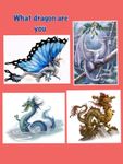 What dragon are you? (1) What dragon are you? (1)