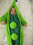 vegetable vegetable