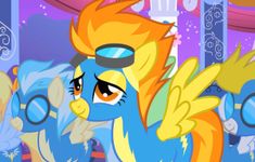 Wonderbolt Pop Quiz Wonderbolt Pop Quiz