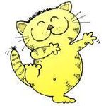 Cat or Kitten Cat or Kitten