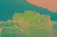 r u red or r u pruple? r u red or r u pruple?