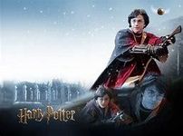 Which Position in Quidditch Fits You? Which Position in Quidditch Fits You?